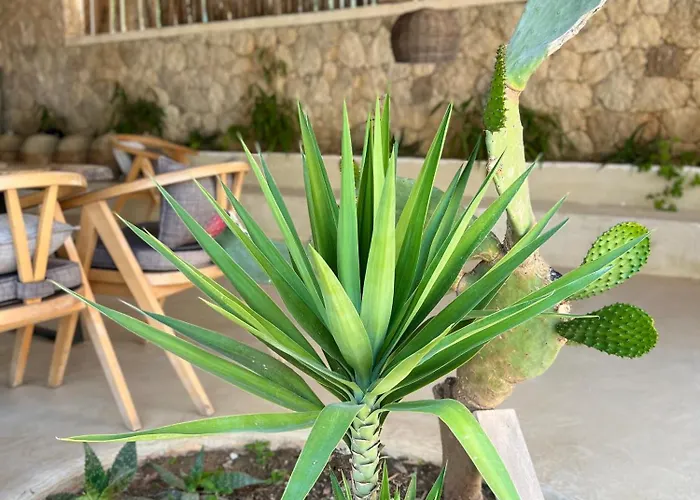 Le Reve Boutique Hotel Dhërmi